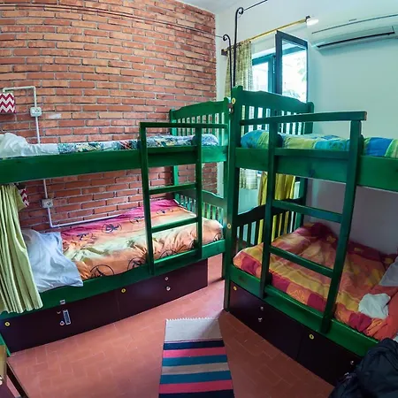 Auberge de jeunesse Trip'n'hostel