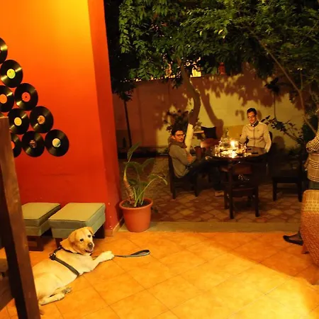 トリップンホステル *