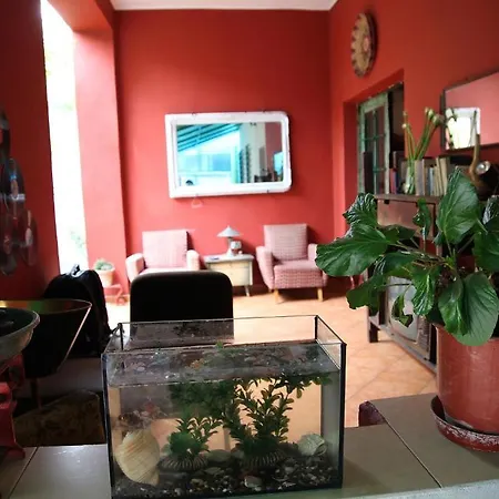 Trip'n'hostel Hostal