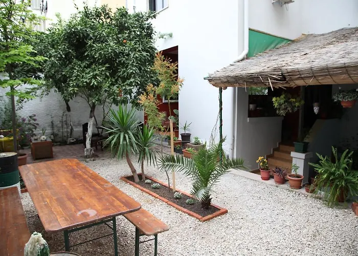 Auberge de jeunesse Trip'n'hostel